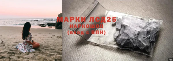 тгк Инсар