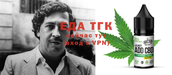 тгк Инсар