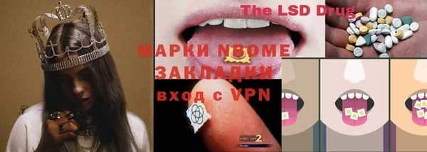 тгк Инсар