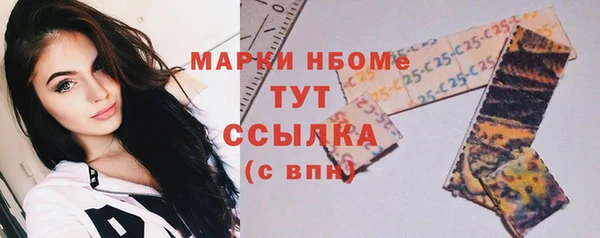 тгк Инсар