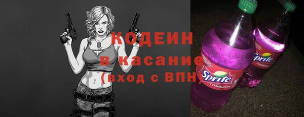 тгк Инсар