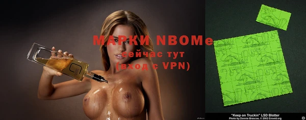 тгк Инсар