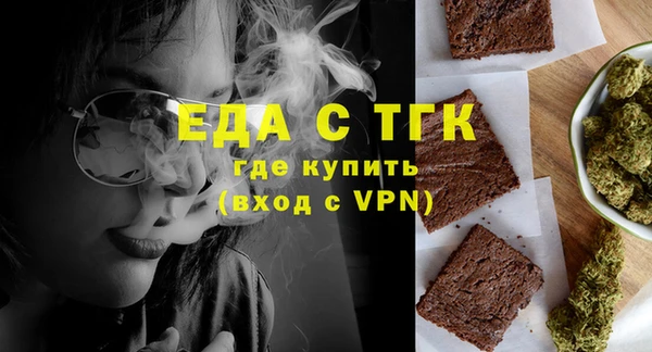 тгк Инсар