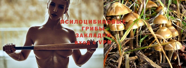 гидропоника Иннополис