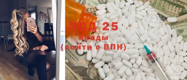 тгк Инсар